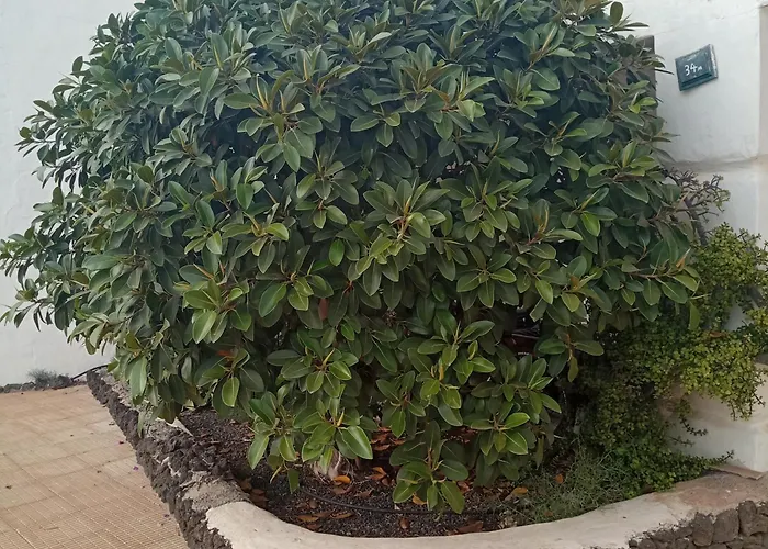 Appartement Aguas Verdes