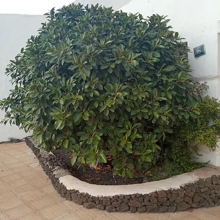 Apartment Aguas Verdes